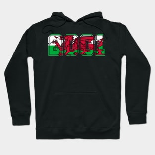 WELSH FLAG 2001 Hoodie